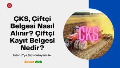 ÇKS, Çiftçi Belgesi Nasıl Alınır? Çiftçi Kayıt Belgesi Nedir? 9 Red Flat Minimalist Comfort Food Website